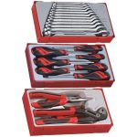 Teng Tools – 23 Piece Combination Wrench, Mega Bite Pliers And Screwdriver Set – TT1236