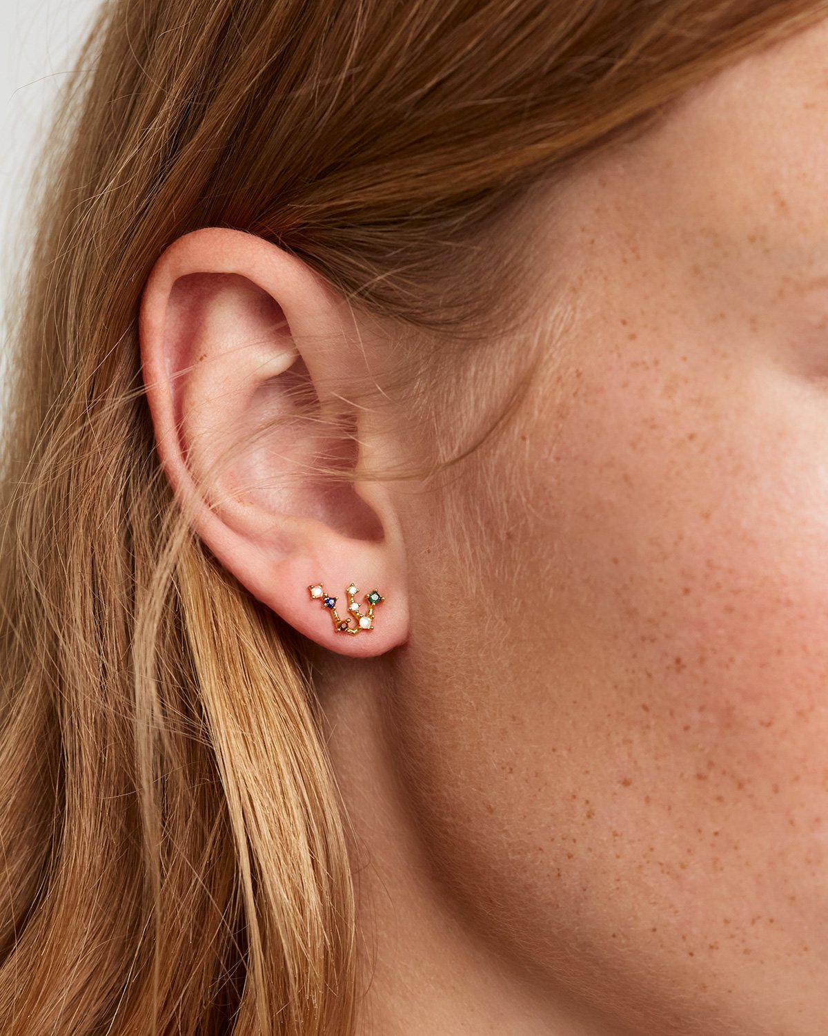 Zodiac Constellations Earrings