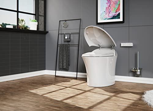 Elongated One Piece Intelligent toilet with Auto Open/Close Lid, Warm Seat