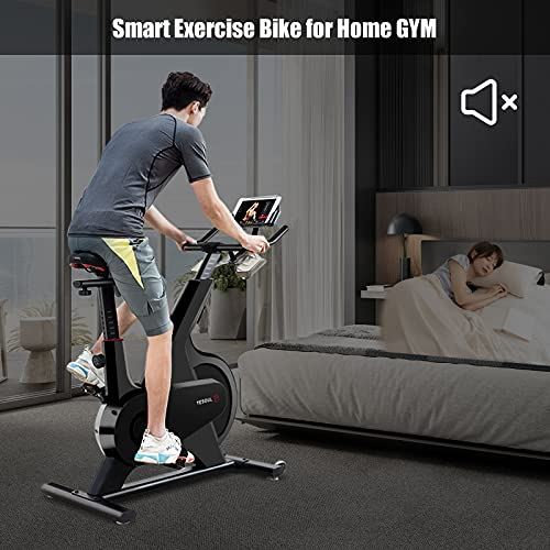 YESOUL Exercise Bikes, Stationary Bikes with 100-Leve Adjustable Magnetic Resistance Natural mute,Built-in Flywheel Safety-(Black)