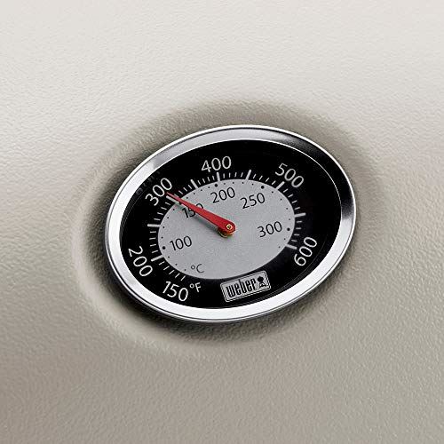 Weber Q2200 Liquid Propane Grill , Gray