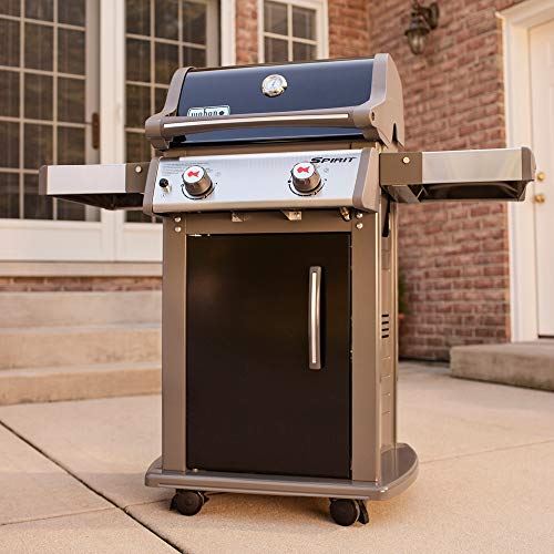Weber 46110001 Spirit E-210 Gas Grill | Liquid Propane, 2-Burner | Black