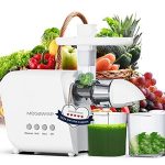 2 Speed Modes Juicer Machines for Vegetables and Fruits