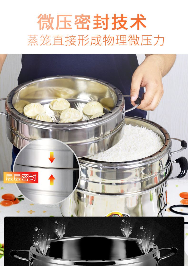 Electric Steamer Multi-layer Automatic Power-off Large Capacity Stainless Steel Steamer Food Warmer Steamer