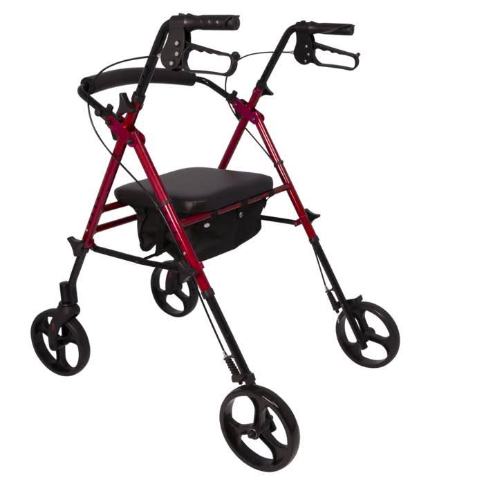 ProBasics RLAA8BL ProBasics Height Adjustable Rollator with 8 in. Wheels Blue