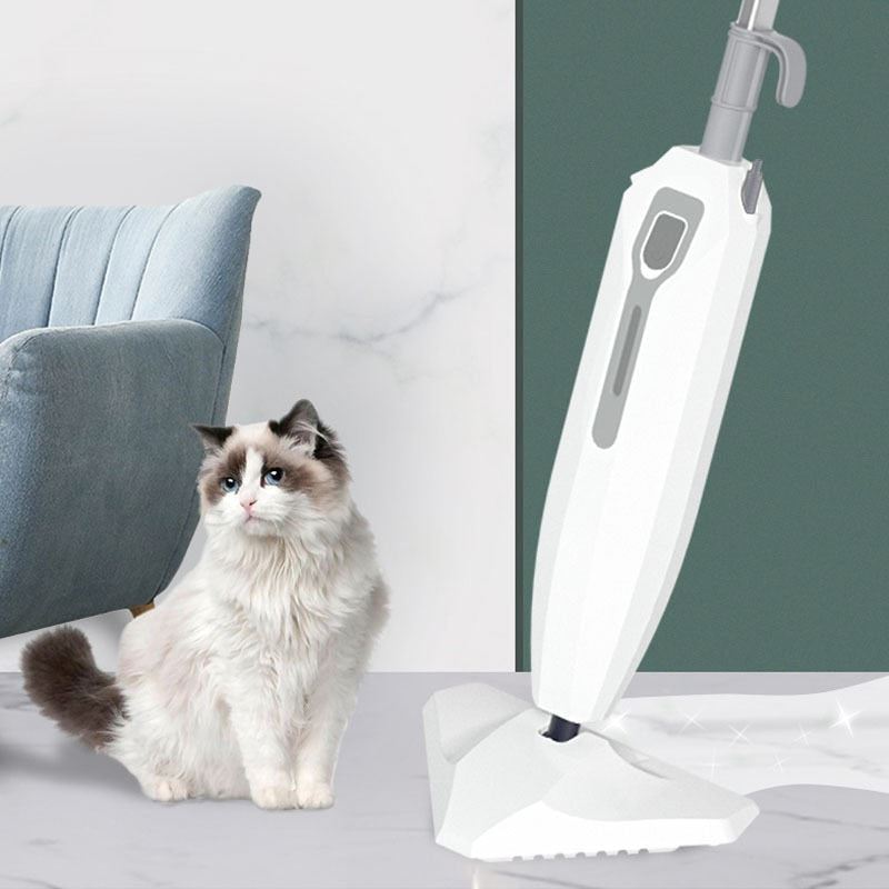 Electric household high-temperature cleaning machine with steam mop