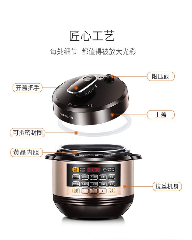 110V Cooker Electric Multifunctional Rice Soup Multicooker Pressure Household Appliances