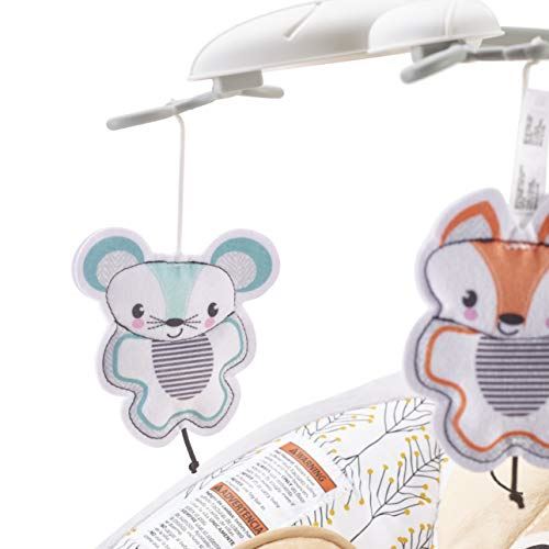 Fawn Meadows Deluxe Bouncer