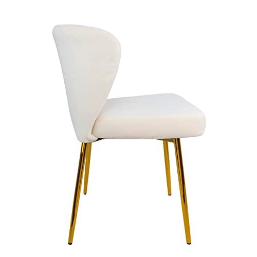 Modern Dining Chairs, Velvet Accent Chair, Living Room Chairs, Set of 2,