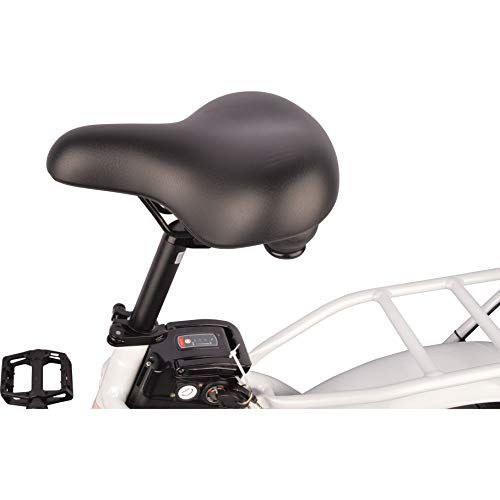 DJ Folding Bike Step Thru 750W 48V 13Ah Power Electric Bicycle, Pearl White