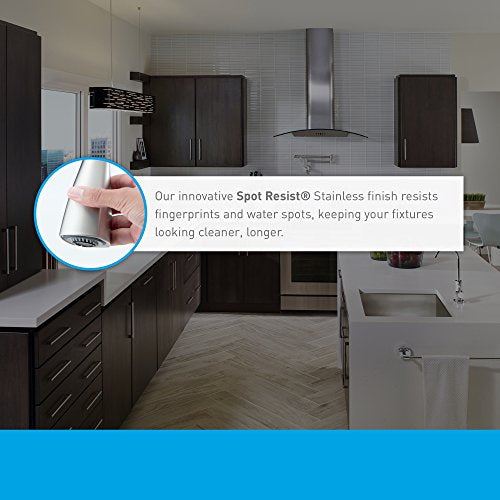 Transitional Deck Mounted Kitchen Soap Dispenser