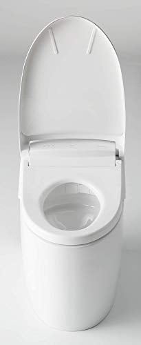 Toilet with Intergeated Bidet Seat and EWATER Beige-MS988CUMFG
