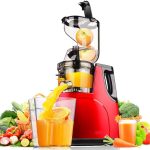 Large Wide Mouth Feeding Chute Whole Apple Slow Juicer Fruit Vegetable nutrition