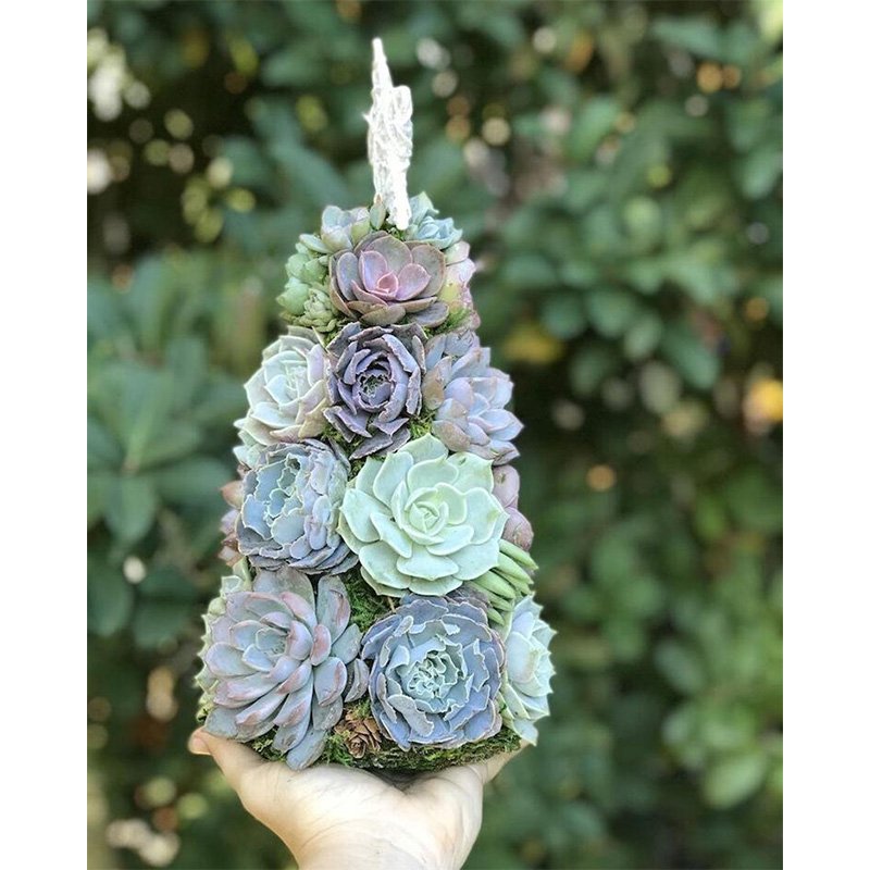 🎁Handmade Surprise Christmas Gifts🎄Succulent Christmas Tree