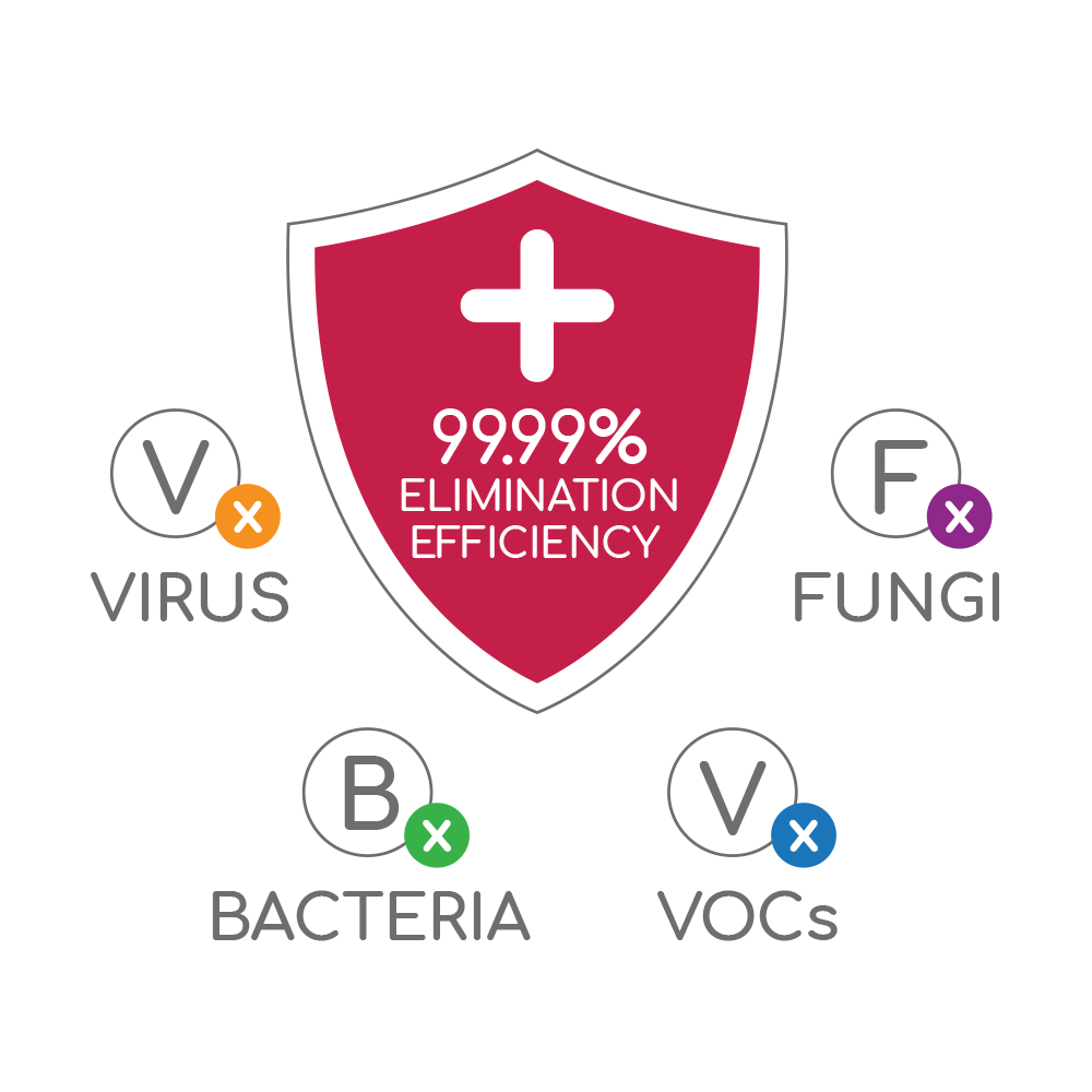 Office Essentials (A)