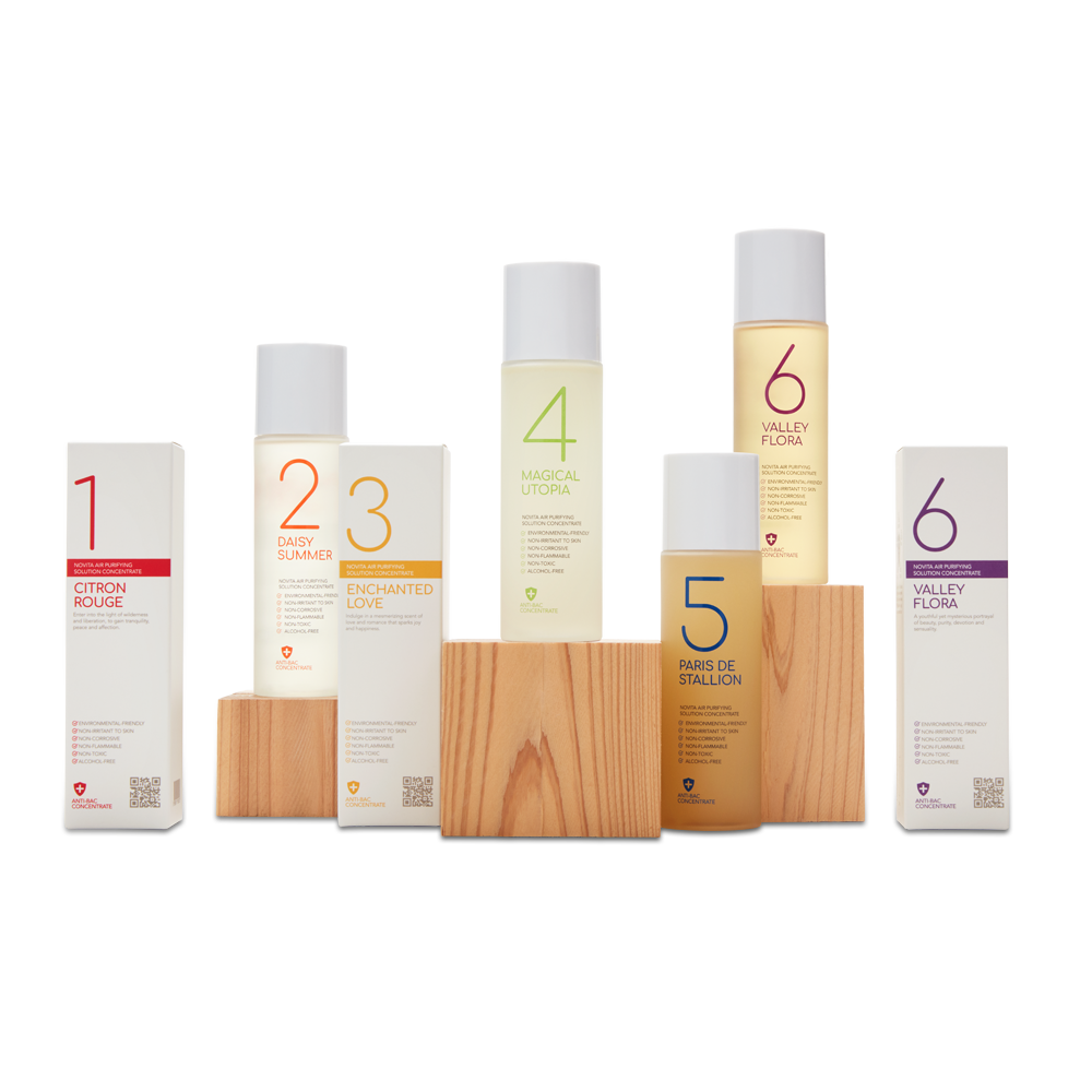 Office Essentials (B)