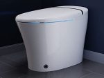 Auto Flush in White | Heated Water & Seat Remote Control Hands Free Operation