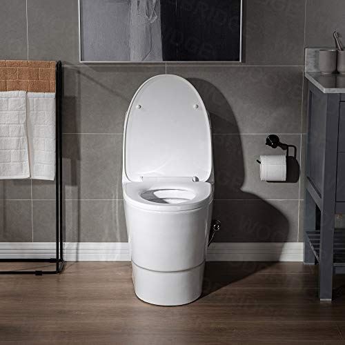 T-0001-BG Toilet, with Brushed Gold Button