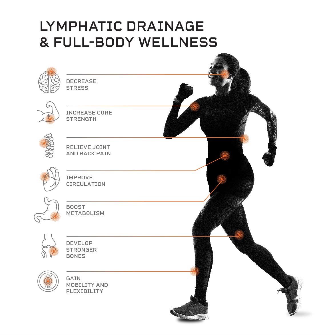 Lifepro Waver Vibration Plate