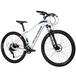 ROYCE UNION Men’s Carbon Bike, 22 Speed, 27.5 inch tire 16.5 inch Frame