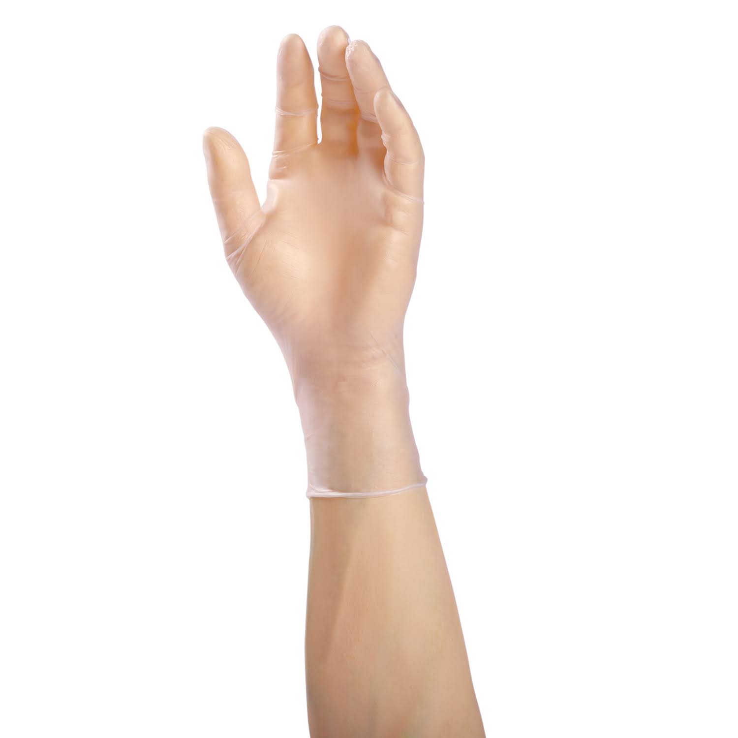 Amercare Paradigm Vinyl Gloves, Powder-Free, Large, Case of 1000