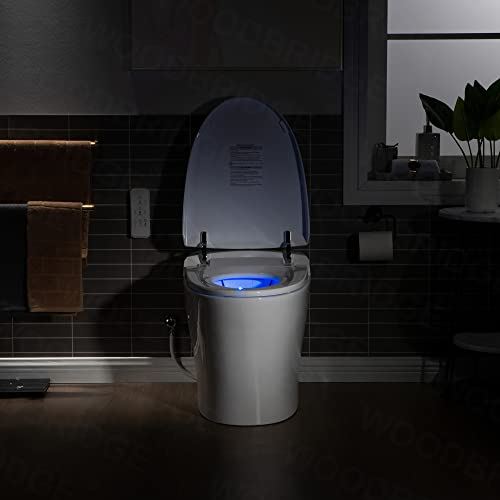 One Piece Modern Design, Automatic Flushing, Heated Seat with Integrated