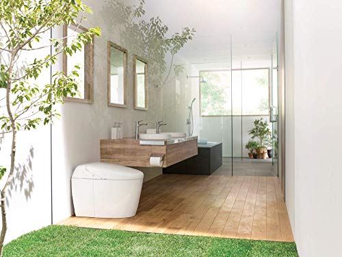 Toilet with Intergeated Bidet Seat and EWATER Beige-MS988CUMFG