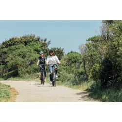 Schwinn Women's Amalgam Electric Bike