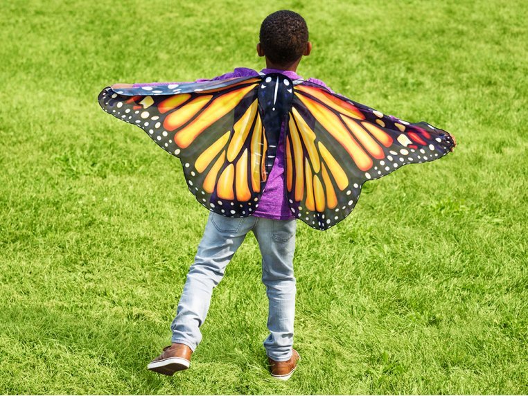 Butterfly Play Wings