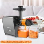 Juicer Electric High Nutrition Vegetables And Fruits Slow Blender Soft And Hard Modes