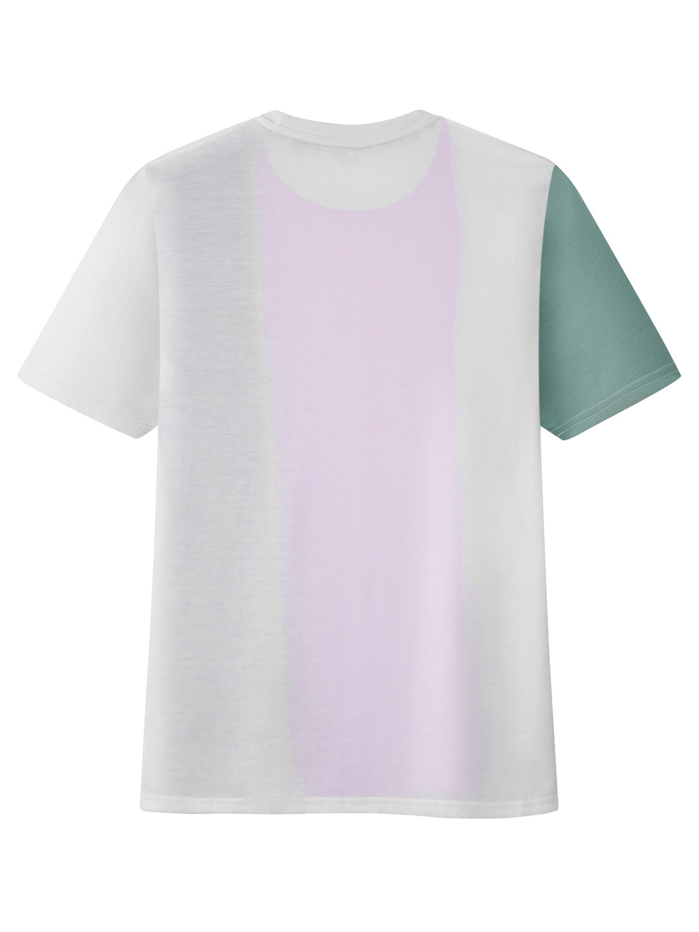 Men's Eagle Embroidered Color Block Round Neck Tee