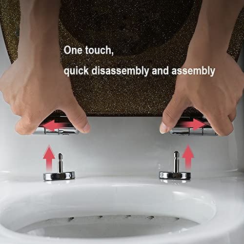 Thicken Toilet Seat, Slow Close Toilet Seat, Premium Hinge Easy Install