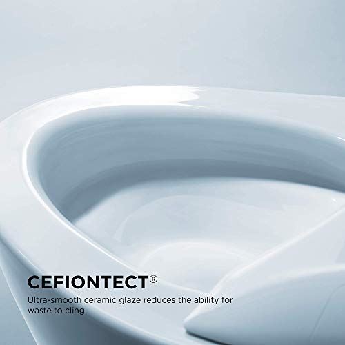 Toilet with Intergeated Bidet Seat and EWATER Beige-MS988CUMFG