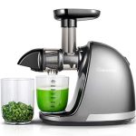 Slow Juicer Extractor Professional Machine