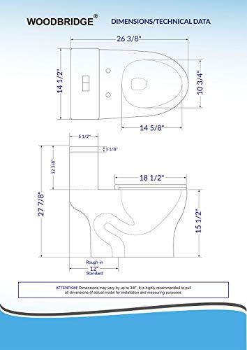 Dual Flush Elongated Toilet with Advance Smart Washlet Bidet in White