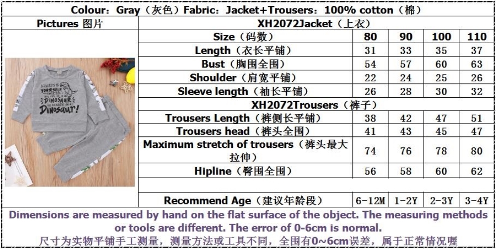 Cartoon Print Boy Long Sleeve Tracksuit