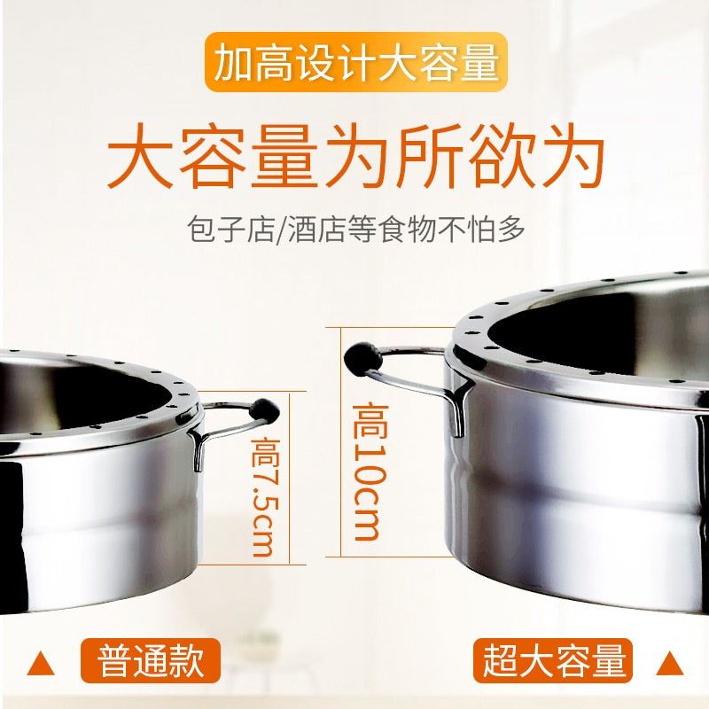 Electric Steamer Multi-layer Automatic Power-off Large Capacity Stainless Steel Steamer Food Warmer Steamer