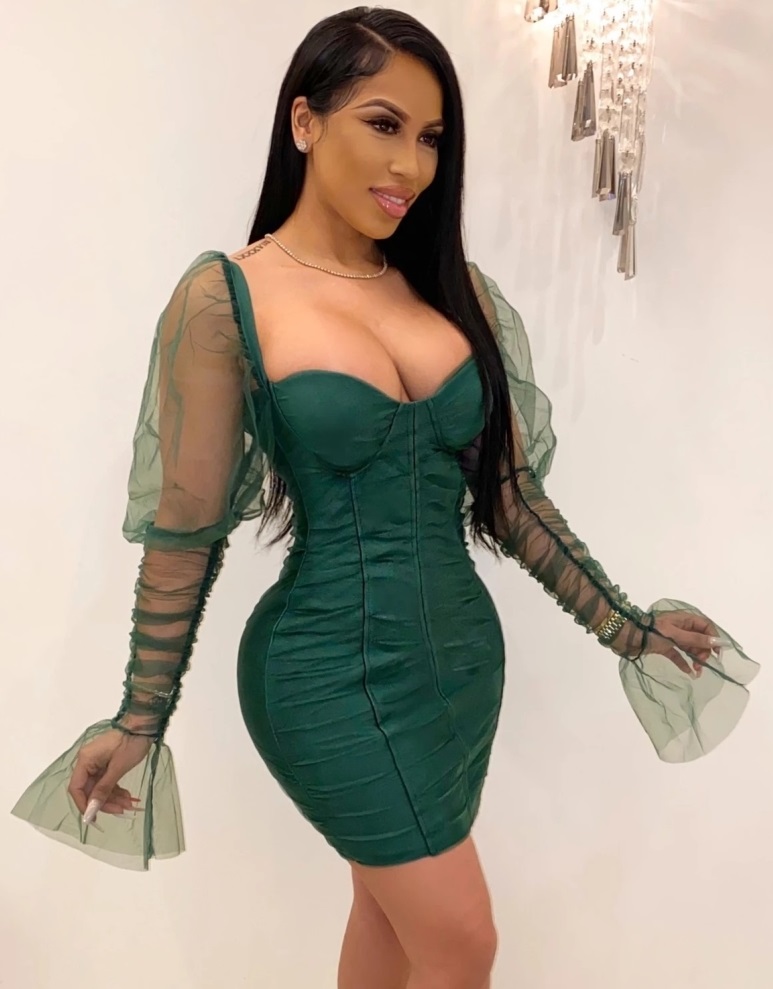 Sexy Vintage Party Dress with Mesh Sleeves