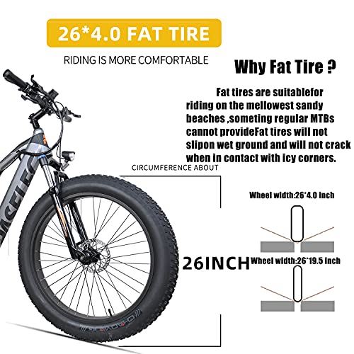 Electric Mountain Bike, 4.0 Fat Tire E-Bike with 48V 14.5ah Lithium Battery
