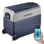 Volt Refrigerator Portable Freezer, Car Fridge Dual Zone APP Control