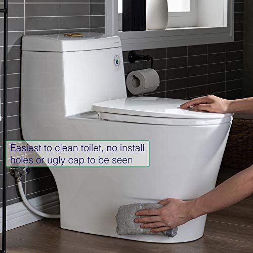 T-0001-BG Toilet, with Brushed Gold Button