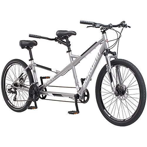 Double Seater, Steel Low Step Frame, 7-Speed, 650c Urban Tires