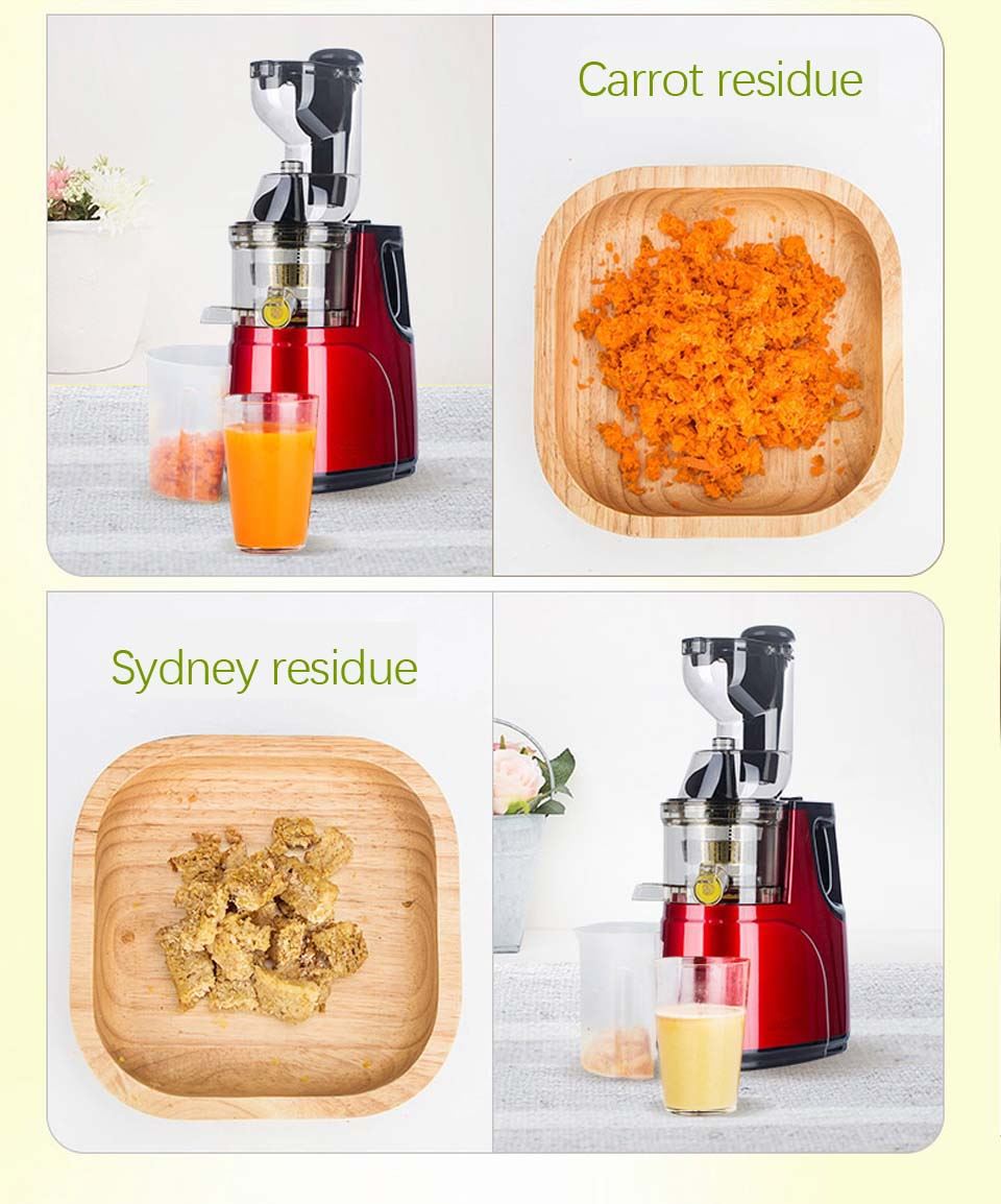 Large Wide Mouth Feeding Chute Whole Apple Slow Juicer Fruit Vegetable nutrition