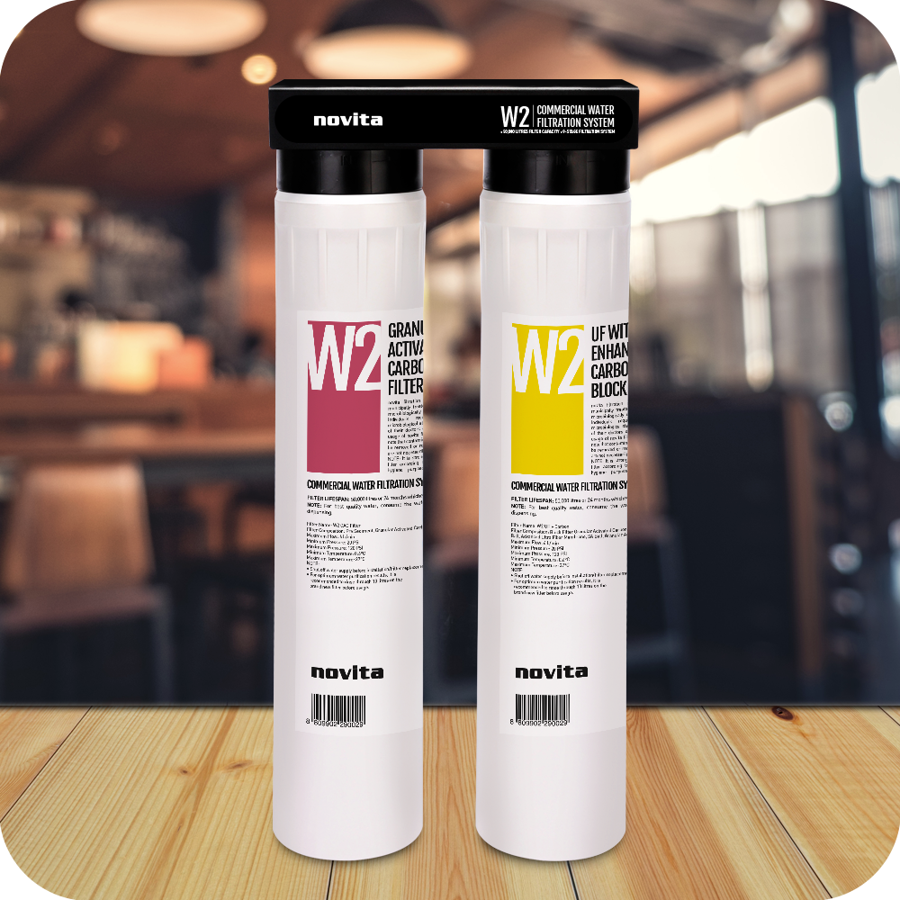 20���� Hi-Flow Commercial Water Filtration System W2