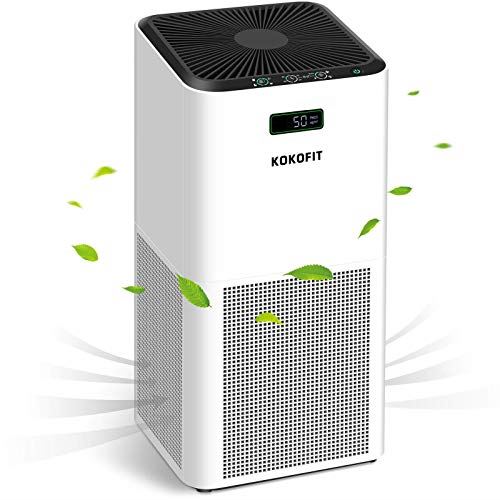 Hepa Air Purifier for Large Room, Up to 800 sq ft with PM2.5 Display