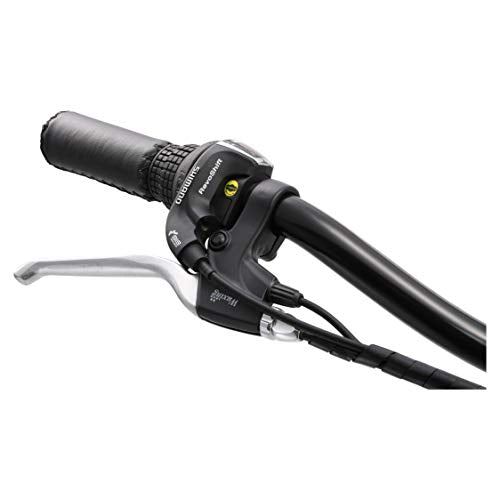 The Block Women’s Electric Bicycle, 7-Speed Beach Cruiser Ebike