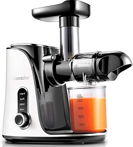 Slow Masticating Juicer Extractor, Cold Press Juicer with Two Speed Modes
