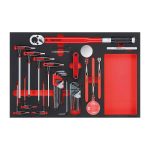 Teng Tools – 17 Piece Hex, Torque and Inspection Set in EVA – TEN-O-TTEX17