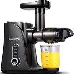 Masticating Juicer Extractor, Cold Press Juicer with Two Speed Modes