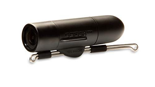 GoFish Cam Wireless Underwater Fishing Camera, Black